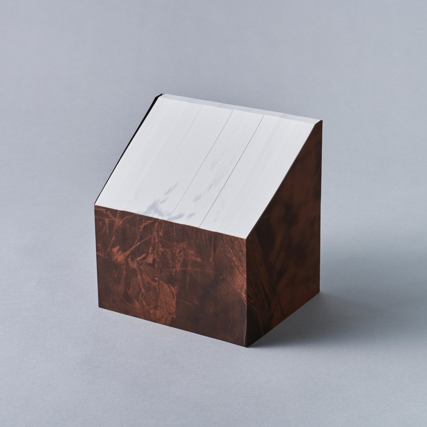 ARENA OF BOOK - RINTARO FUSE, HEIJIRO YAGI