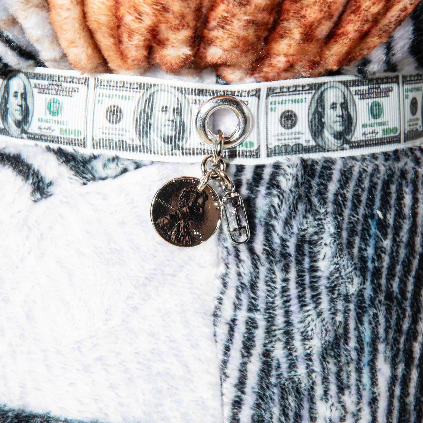 BIG DOLLAR TEDDY